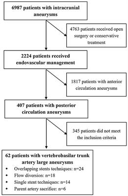 Endovascular Management of Vertebrobasilar Trunk Artery Large Aneurysms: Complications and Long-Term Results